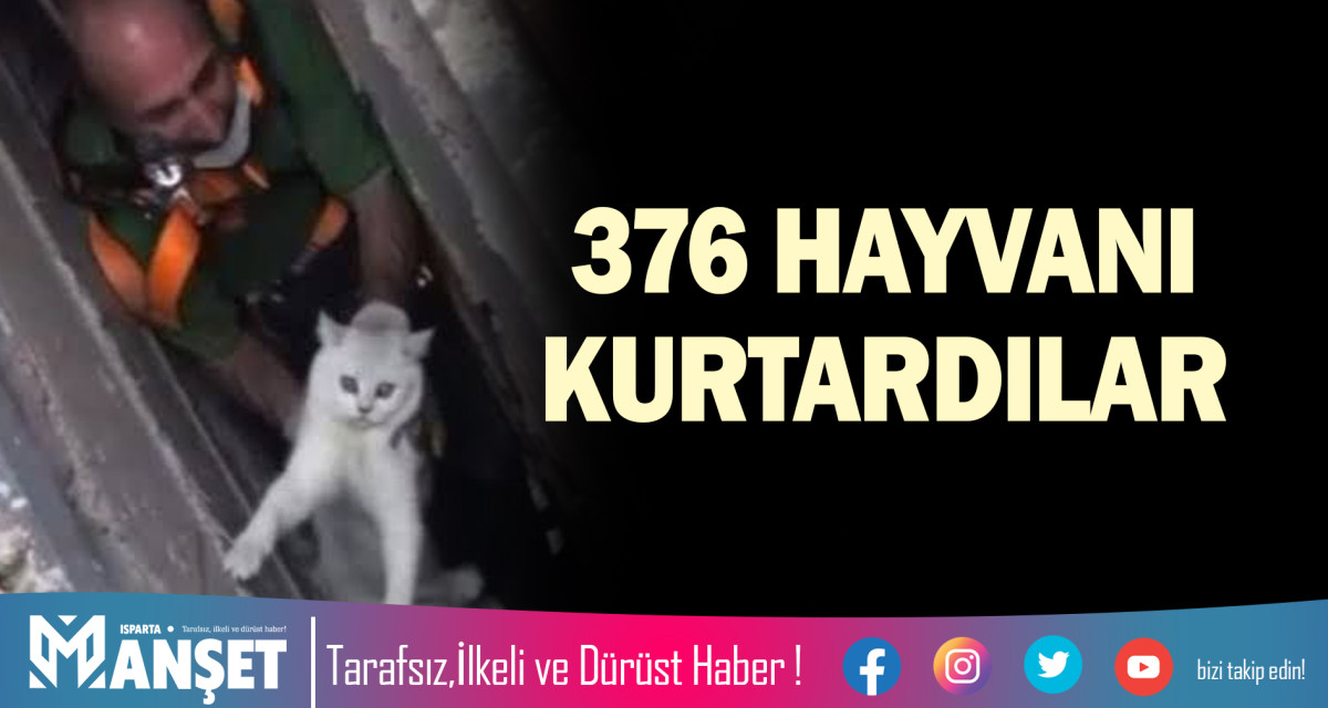 376 HAYVANI KURTARDILAR