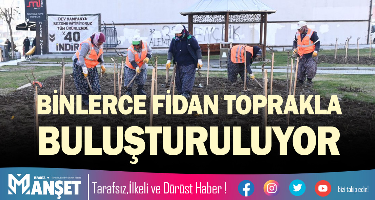 BİNLERCE FİDAN TOPRAKLA BULUŞTURULUYOR