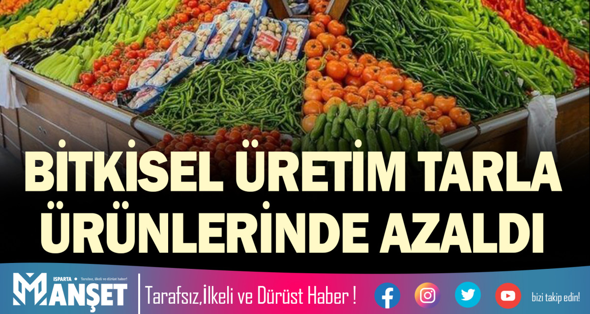 BİTKİSEL ÜRETİM TARLA ÜRÜNLERİNDE AZALDI