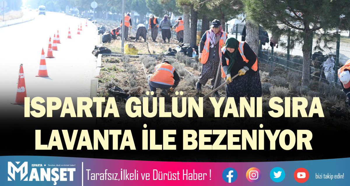 ISPARTA GÜLÜN YANI SIRA LAVANTA İLE BEZENİYOR