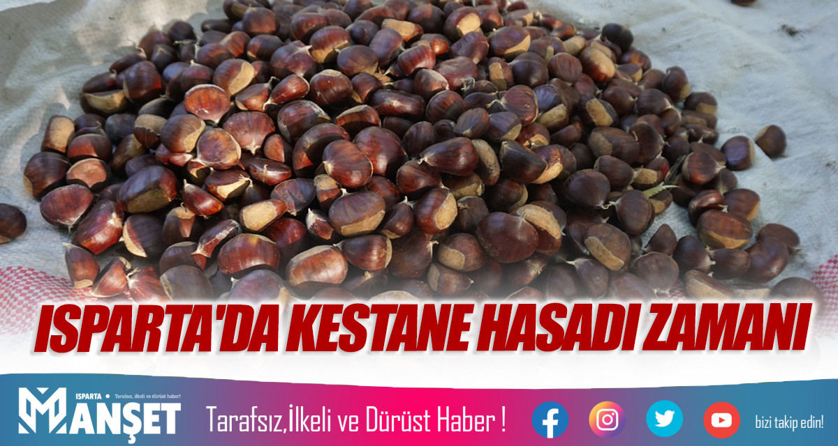 ISPARTA'DA KESTANE HASADI ZAMANI