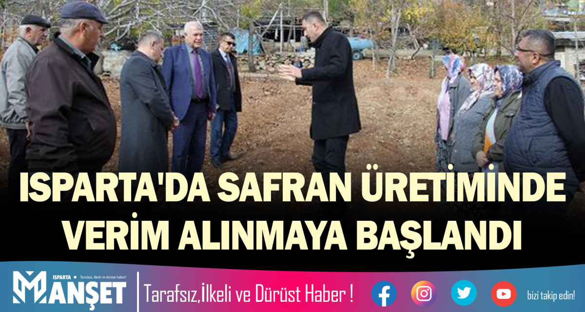 ISPARTA'DA SAFRAN ÜRETİMİNDE VERİM ALINMAYA BAŞLANDI