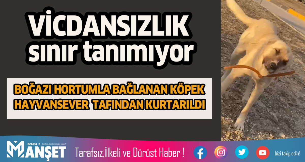 VİCDANSIZLIK SINIR TANIMIYOR